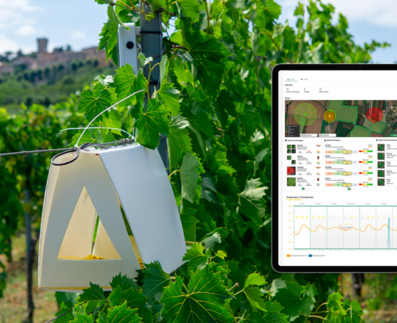 65d31ede04f8648c7329cd69_Copertina_insetti