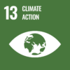 SDG13