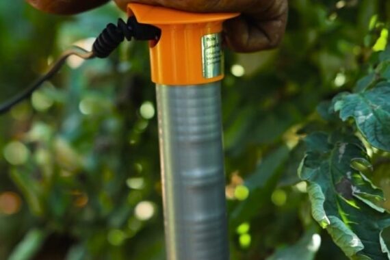 IMG-20251014-WA00787