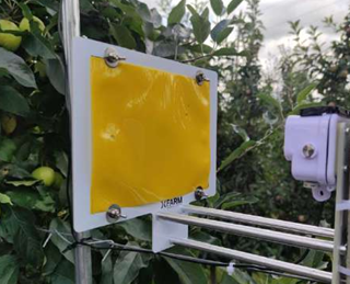 Screenshot 2025-08-05 120438